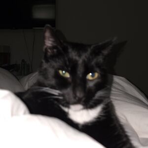 Meet your Posher, Megan